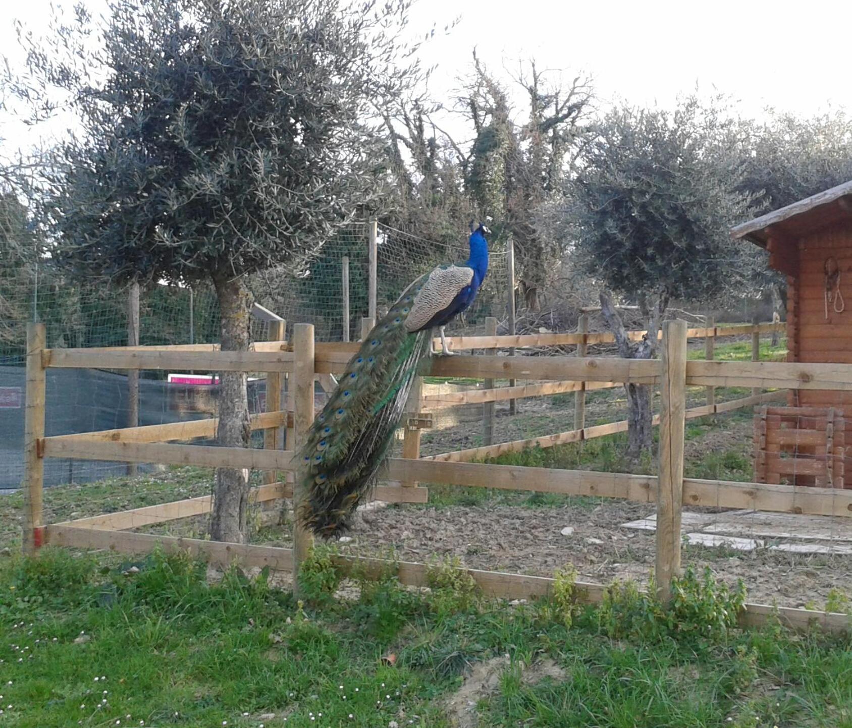 Garden Village סאן מרינו מראה חיצוני תמונה