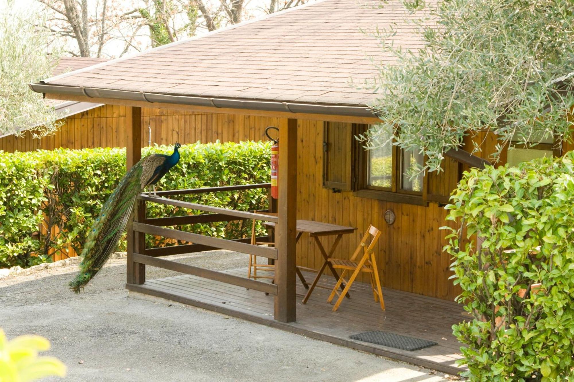 Garden Village סאן מרינו מראה חיצוני תמונה